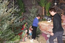 Création de la crèche de la cathédrale de Bayonne décembre 2013
