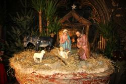 Création de la crèche de la cathédrale de Bayonne décembre 2013